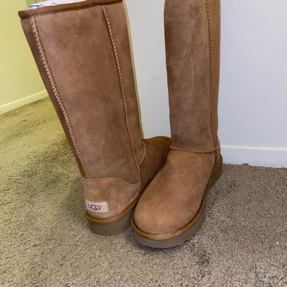 Brand new talll Classic Ugg boots. Size 9.
